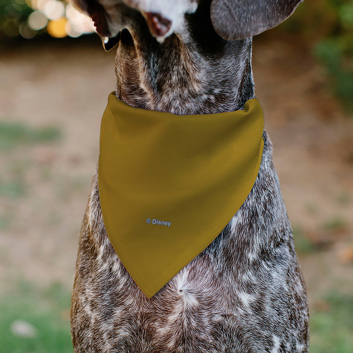 Pet Bandana - Lion King Young Simba Face Close-Up Orange Pet Bandanas Disney   