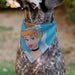 Pet Bandana - Cinderella Face Pose Close-Up Blues Pet Bandanas Disney