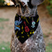 Pet Bandana - Stitch and Scrump Ukulele Jam Pose Black/Yellow Pet Bandanas Disney