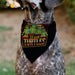 Pet Bandana - Teenage Mutant Ninja Turtles TEAM TURTLES Group Pose Black/Red Pet Bandanas Nickelodeon   