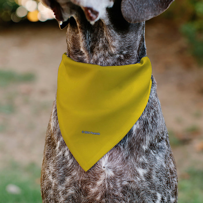 Pet Bandana - Peanuts Charlie Brown Zig Zag Stripe Yellow/Black Pet Bandanas Peanuts Worldwide LLC   