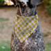 Pet Bandana - Peanuts Woodstock Pose Checker Yellow/White Pet Bandanas Peanuts Worldwide LLC   