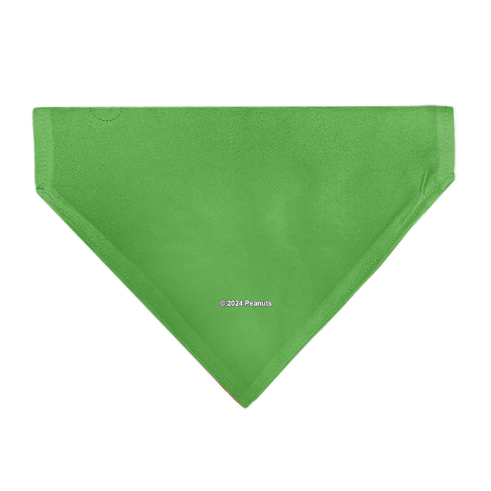 Pet Bandana - Peanuts Gang Group Pose Green Pet Bandanas Peanuts Worldwide LLC   