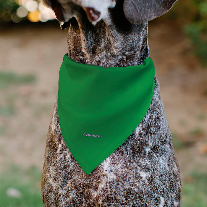 Pet Bandana - Peanuts Gang Group Pose Green Pet Bandanas Peanuts Worldwide LLC   