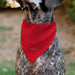 Pet Bandana - Peanuts Snoopy Face and Profile Pose Reds Pet Bandanas Peanuts Worldwide LLC   