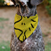 Pet Bandana - Peanuts Woodstock Pose Yellow Pet Bandanas Peanuts Worldwide LLC   