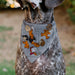 Pet Bandana - Peanuts Gang Floating Astronauts Group Pose Gray Pet Bandanas Peanuts Worldwide LLC   