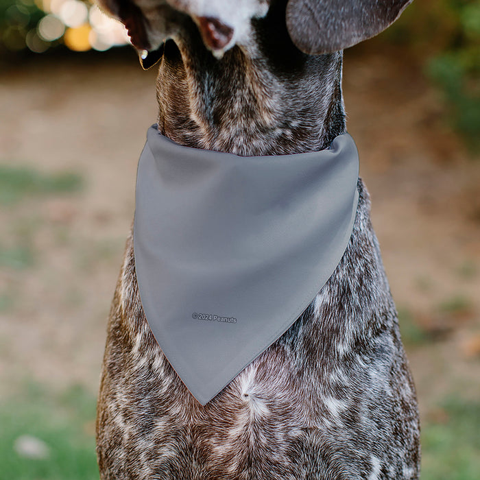 Pet Bandana - Peanuts Gang Floating Astronauts Group Pose Gray Pet Bandanas Peanuts Worldwide LLC   