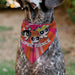 Pet Bandana - Powerpuff Girls SUPER CUTE SUPER FIERCE Group Pose Pinks Pet Bandanas Warner Bros. Animation   