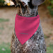 Pet Bandana - Powerpuff Girls SUPER CUTE SUPER FIERCE Group Pose Pinks Pet Bandanas Warner Bros. Animation   