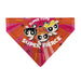 Pet Bandana - Powerpuff Girls SUPER CUTE SUPER FIERCE Group Pose Pinks Pet Bandanas Warner Bros. Animation   