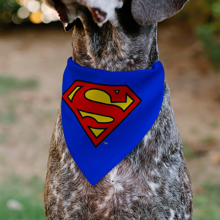 Pet Bandana - Superman Shield Logo Blue/Red/Yellow Pet Bandanas DC Comics   