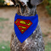 Pet Bandana - Superman Shield Logo Blue/Red/Yellow Pet Bandanas DC Comics   