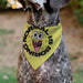 Pet Bandana - SpongeBob SquarePants NORMAL IS BORING Pose Yellows Pet Bandanas Nickelodeon   