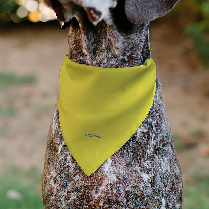 Pet Bandana - SpongeBob SquarePants Face Close-Up Yellow Pet Bandanas Nickelodeon   