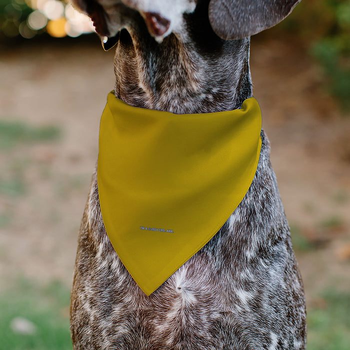 Pet Bandana - Star Trek Original Series Golden Yellow Uniform Print Pet Bandanas CBS Studios Inc.   