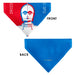 Pet Bandana - Star Wars DROID C-3PO Text and Pop Art Pose Red/Blue/White Pet Bandanas Star Wars   