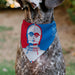 Pet Bandana - Star Wars DROID C-3PO Text and Pop Art Pose Red/Blue/White Pet Bandanas Star Wars   