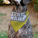 Pet Bandana - STAR WARS Title Logo Yellow/Multi Color/White Pet Bandanas Star Wars   