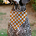 Pet Bandana - Checker White/TN Orange Pet Bandanas Buckle-Down, Inc.   