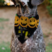 Pet Bandana - Jack-o'-Lanterns/Haunted House Black/Yellow Pet Bandanas Buckle-Down, Inc.   