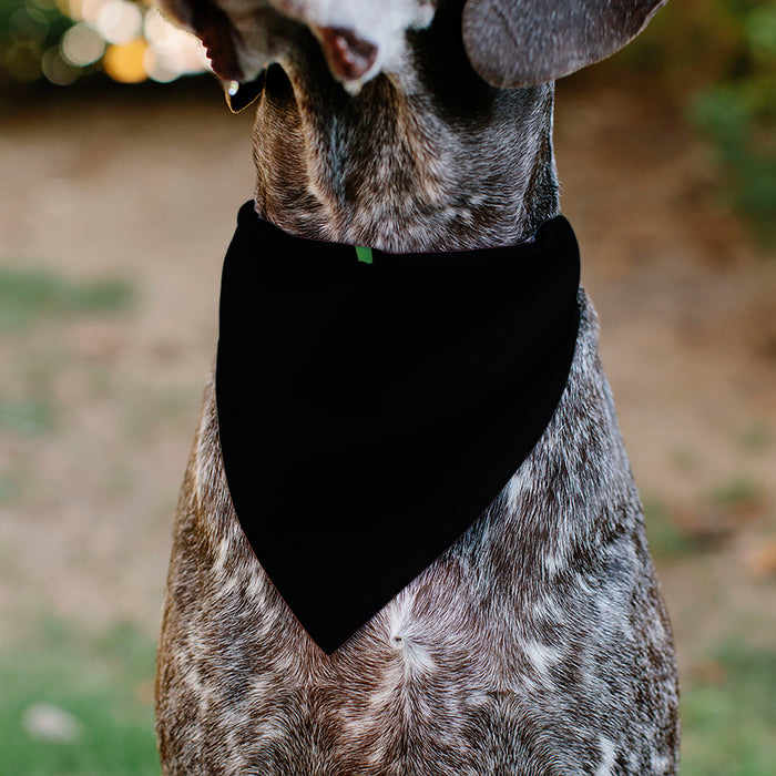 Pet Bandana - Jack-o'-Lanterns/Haunted House Black/Yellow Pet Bandanas Buckle-Down, Inc.   