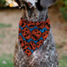 Pet Bandana - Jack-o'-Lanterns Blue Pet Bandanas Buckle-Down, Inc.   