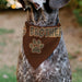 Pet Bandana - BIG BROTHER Text and Paw Browns Pet Bandanas Buckle-Down, Inc.   