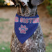 Pet Bandana - BIG SISTER Text and Paw Blues/Lavender Pet Bandanas Buckle-Down, Inc.   