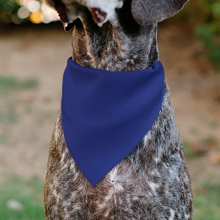 Pet Bandana - BIG SISTER Text and Paw Blues/Lavender Pet Bandanas Buckle-Down, Inc.   