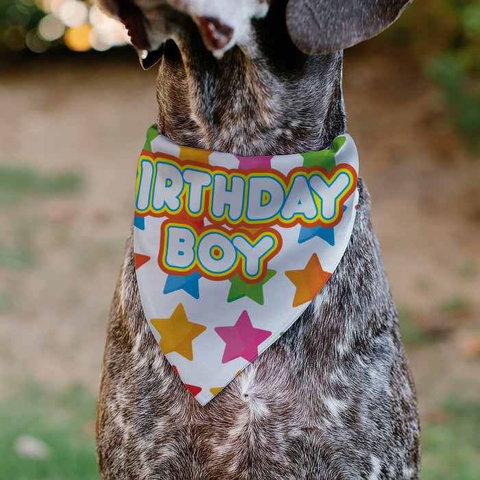 Pet Bandana - BIRTHDAY BOY Text and Stars White/Multi Color Pet Bandanas Buckle-Down, Inc.   