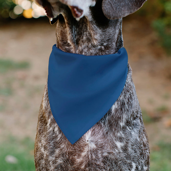 Pet Bandana - BIRTHDAY BOY Text Paw and Confetti Blue/Multi Color Pet Bandanas Buckle-Down, Inc.   