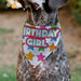 Pet Bandana - BIRTHDAY GIRL Text and Stars White/Multi Color Pet Bandanas Buckle-Down, Inc.   