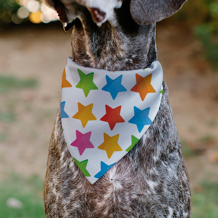 Pet Bandana - BIRTHDAY GIRL Text and Stars White/Multi Color Pet Bandanas Buckle-Down, Inc.   