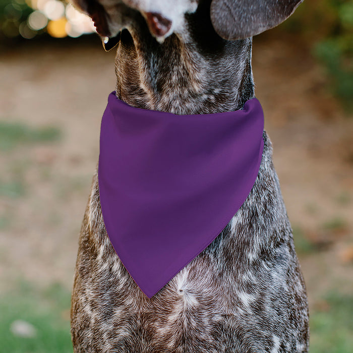 Pet Bandana - BIRTHDAY GIRL Text Purples/White Pet Bandanas Buckle-Down, Inc.   