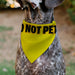 Pet Bandana - DO NOT PET Warning Yellows/Black Pet Bandanas Buckle-Down, Inc.   