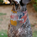 Pet Bandana - HAPPY BIRTHDAY Text and Balloons Tan/Multi Color Pet Bandanas Buckle-Down, Inc.   