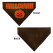 Pet Bandana - HALLOWEEN Jack-O-Lantern Pumpkin Black/Orange Pet Bandanas Buckle-Down, Inc.   