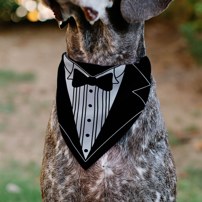 Pet Bandana - Tuxedo Shirt Print Black/White Pet Bandanas Buckle-Down, Inc.   