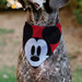 Pet Bandana - Mickey Mouse Face Character Close-Up Red Pet Bandanas Disney   