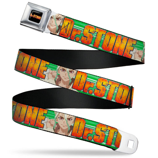 DR. STONE Title Logo Full Color Black/Orange Seatbelt Belt - DR. STONE Title Logo and Suika Face Close-Up Greens Webbing Seatbelt Belts Crunchyroll