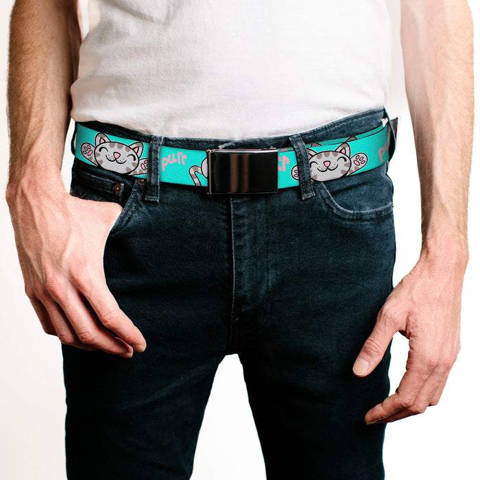 Chrome Buckle Web Belt - Soft Kitty Poses Pale Turquoise/Pink Webbing Web Belts The Big Bang Theory   