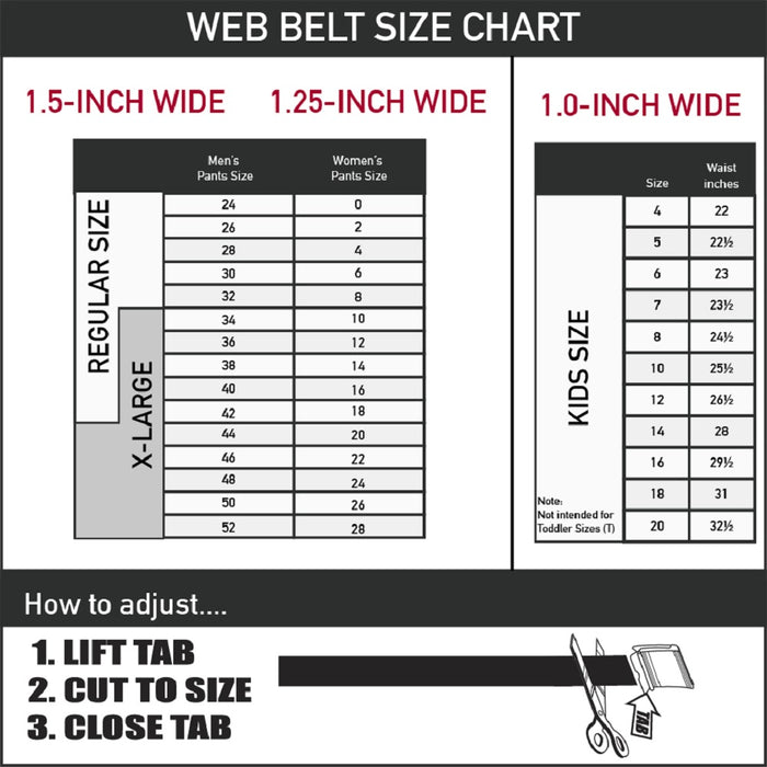 Black Buckle Web Belt - SEATTLE SOLID SKYLINE BLACK/WHITE Web Belts Buckle-Down   
