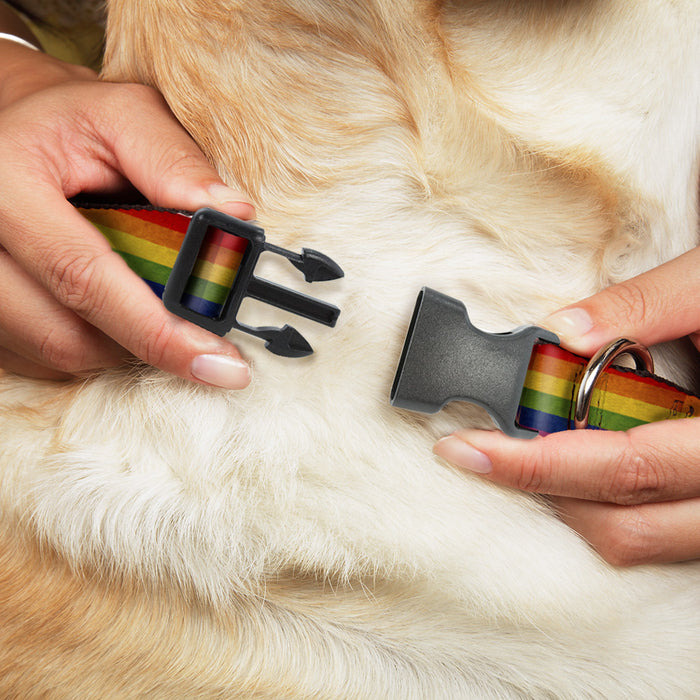 Plastic Clip Collar - Flag Pride Distressed Rainbow Plastic Clip Collars Buckle-Down   