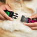 Plastic Clip Collar - IN YOUR DREAMS! Black/Pink/Green/Yellow Plastic Clip Collars Buckle-Down   