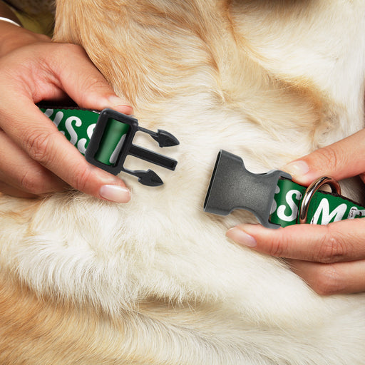 Plastic Clip Collar - KISS ME, I'M IRISH! Clovers Green/White Plastic Clip Collars Buckle-Down   