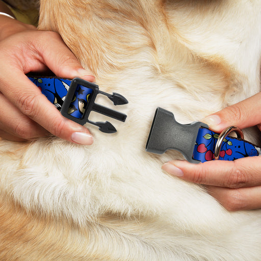 Plastic Clip Collar - Lucky CLOSE-UP Blue Plastic Clip Collars Buckle-Down   