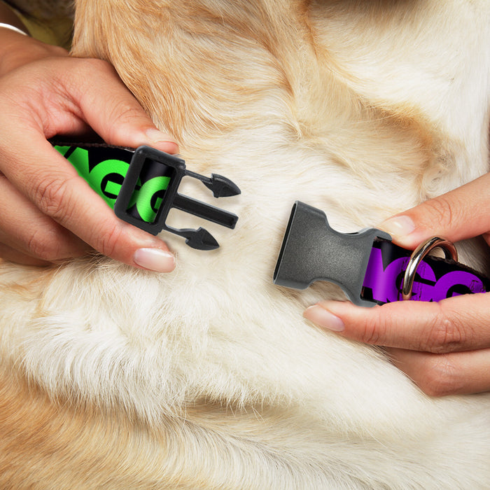 Plastic Clip Collar - SWAGG Black/Hot Pink/Turquoise/Purple/Neon Green Plastic Clip Collars Buckle-Down   