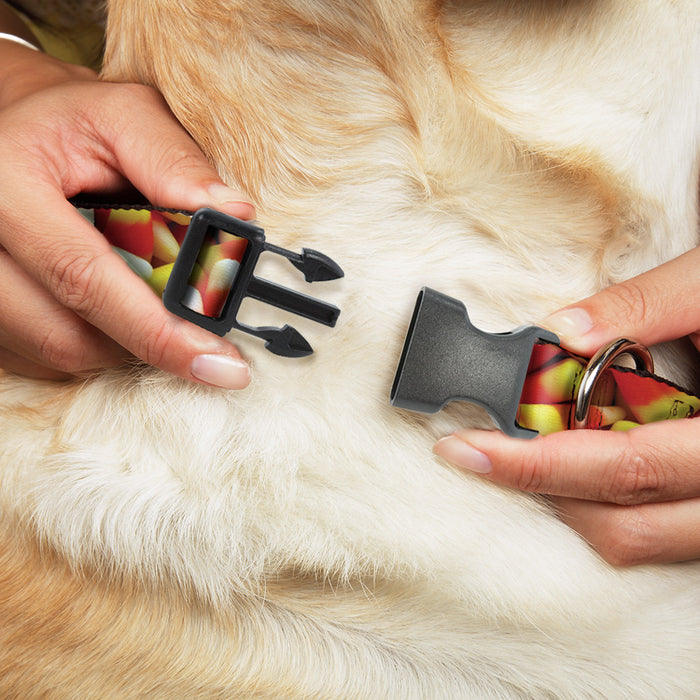 Plastic Clip Collar - Vivid Candy Corn Stacked Plastic Clip Collars Buckle-Down   