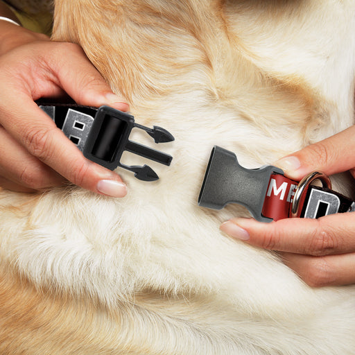 Plastic Clip Collar - WATCH ME DAB/Stars Black/Red/White/Crackle Gray Plastic Clip Collars Buckle-Down   